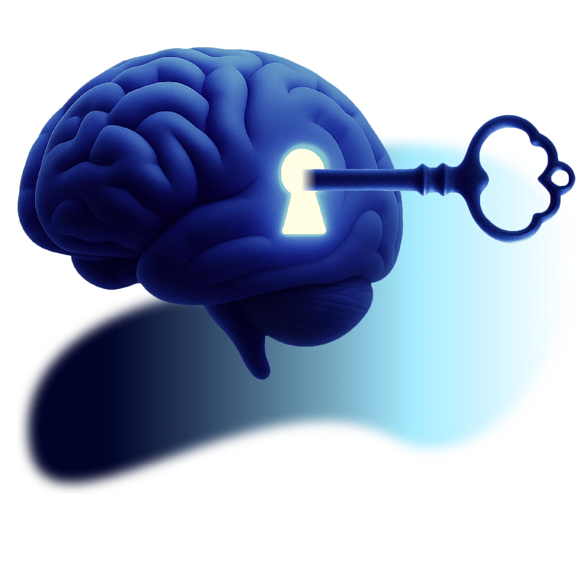 La llave que lo abre todo